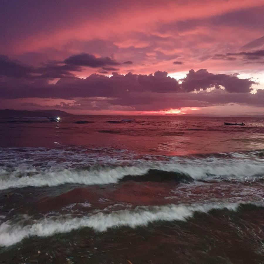 فندق Ocekepala Palmilla المظهر الخارجي الصورة