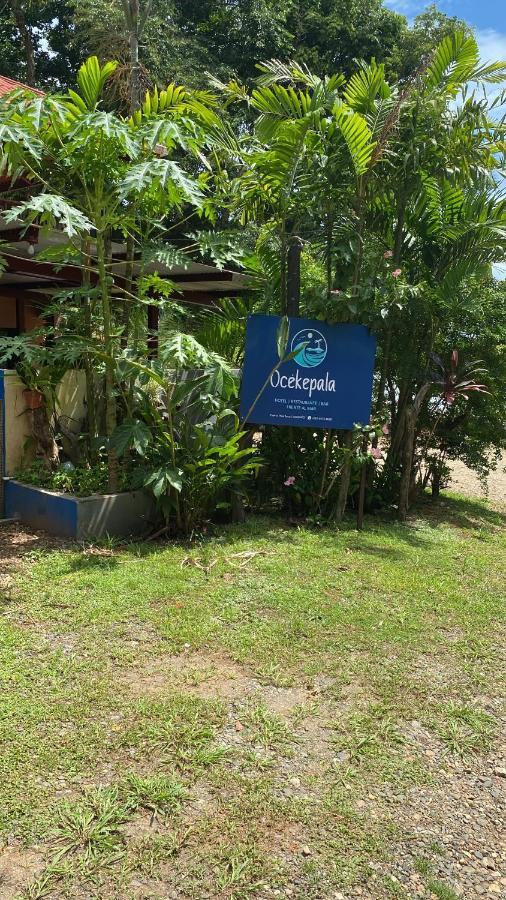 فندق Ocekepala Palmilla المظهر الخارجي الصورة